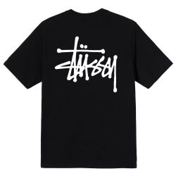 BASIC STUSSY TEE Men's T-Shirt, Black